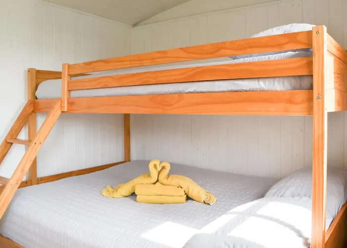 Ryans Shepherd Hut - Uk43565