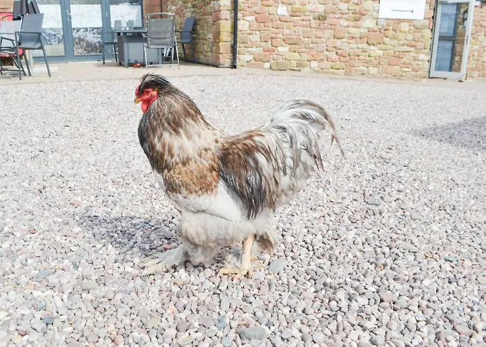 Holiday home Ryans Shepherd Hut - Uk43565 Bowness-on-Solway