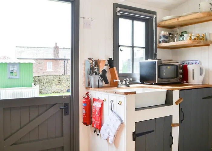 Ryans Shepherd Hut - Uk43565 Holiday home