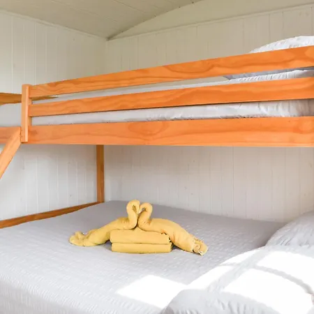 Ryans Shepherd Hut - Uk43565